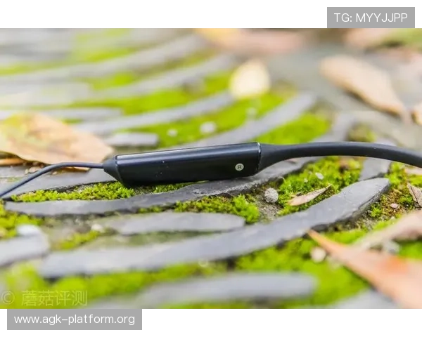 欧宝真人登陆入口最新更新，确保顺畅登录体验，支持多设备多平台无缝切换